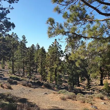 Camping Las Lajas, Tenerife * וילפלור